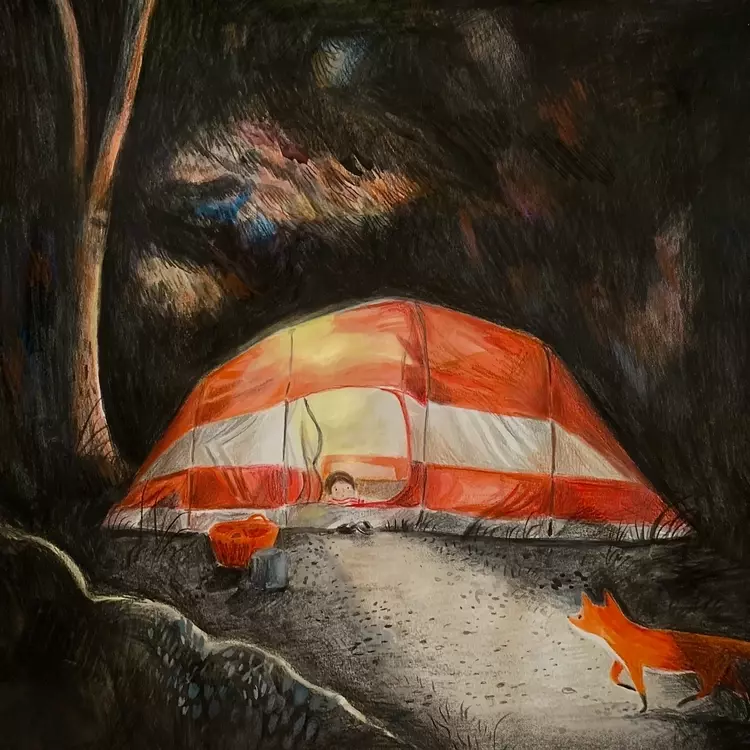 an illustration of a tent in the dark. The illustration shows a young boy looking out of a tent which is lit up. The boy can see a fox walking outside the tent. The fox is half in shadow and half in the light cast from the tent. The illustration is drawn 